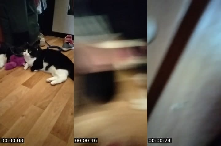 @leoperdochka TikTok live stream