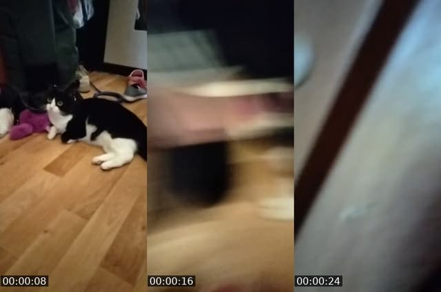 @leoperdochka TikTok live