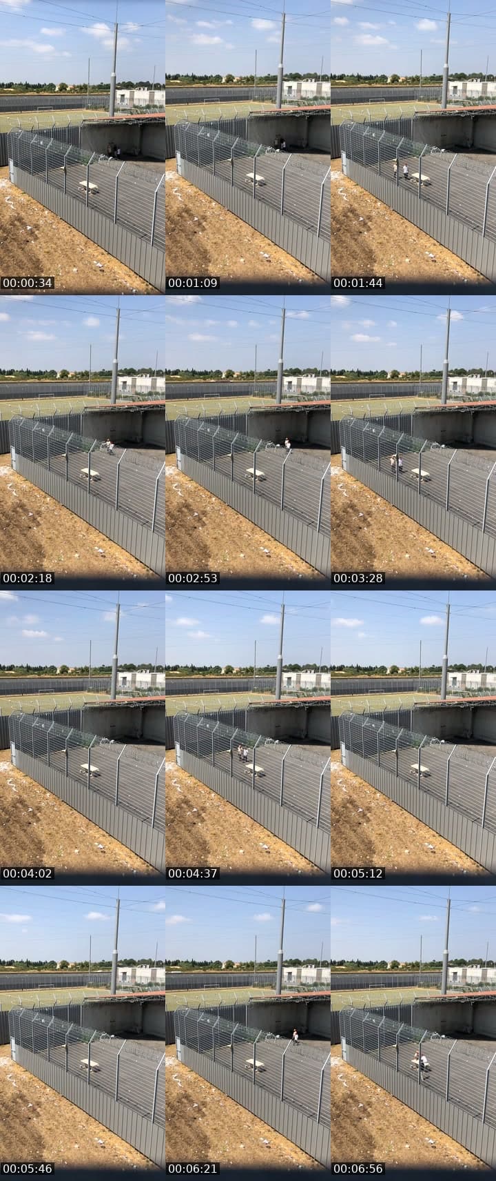 @loupblanc555 TikTok live stream