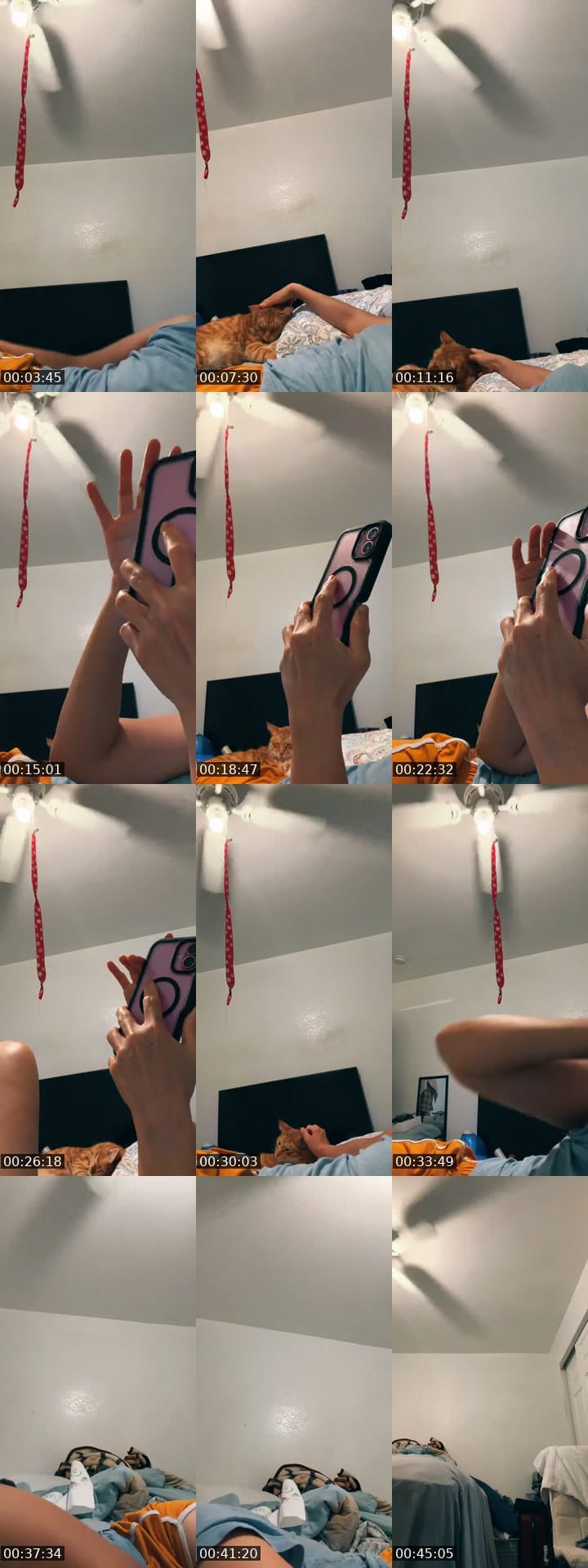 @taramania12 TikTok live stream