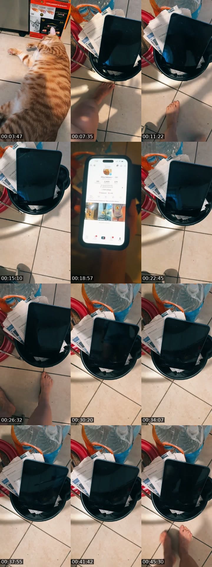 @taramania12 TikTok live stream