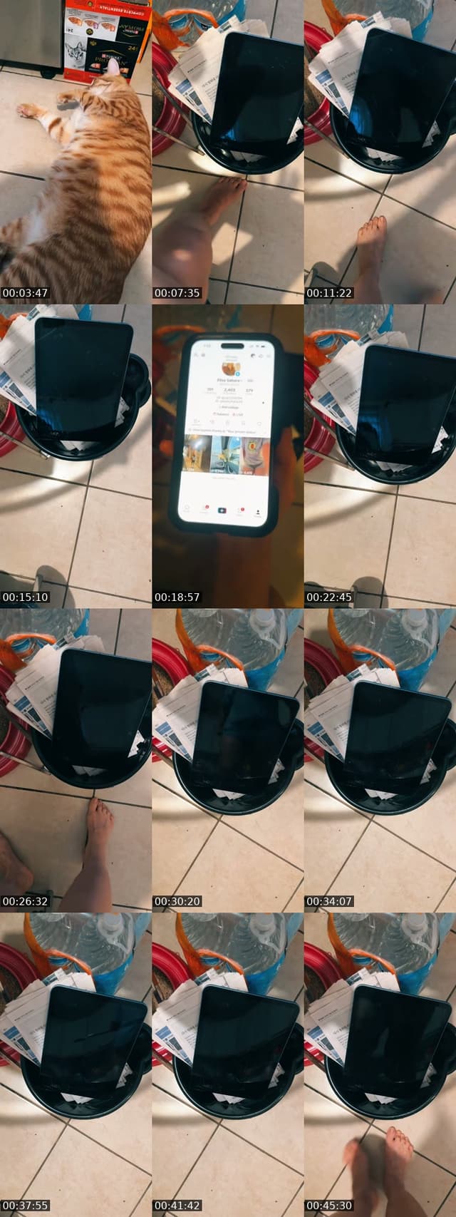 @taramania12 TikTok live