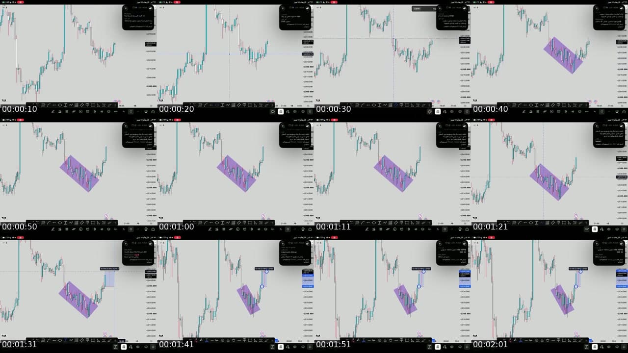@xu5a1 TikTok live stream