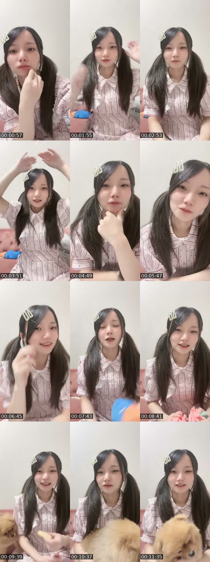わんわん！