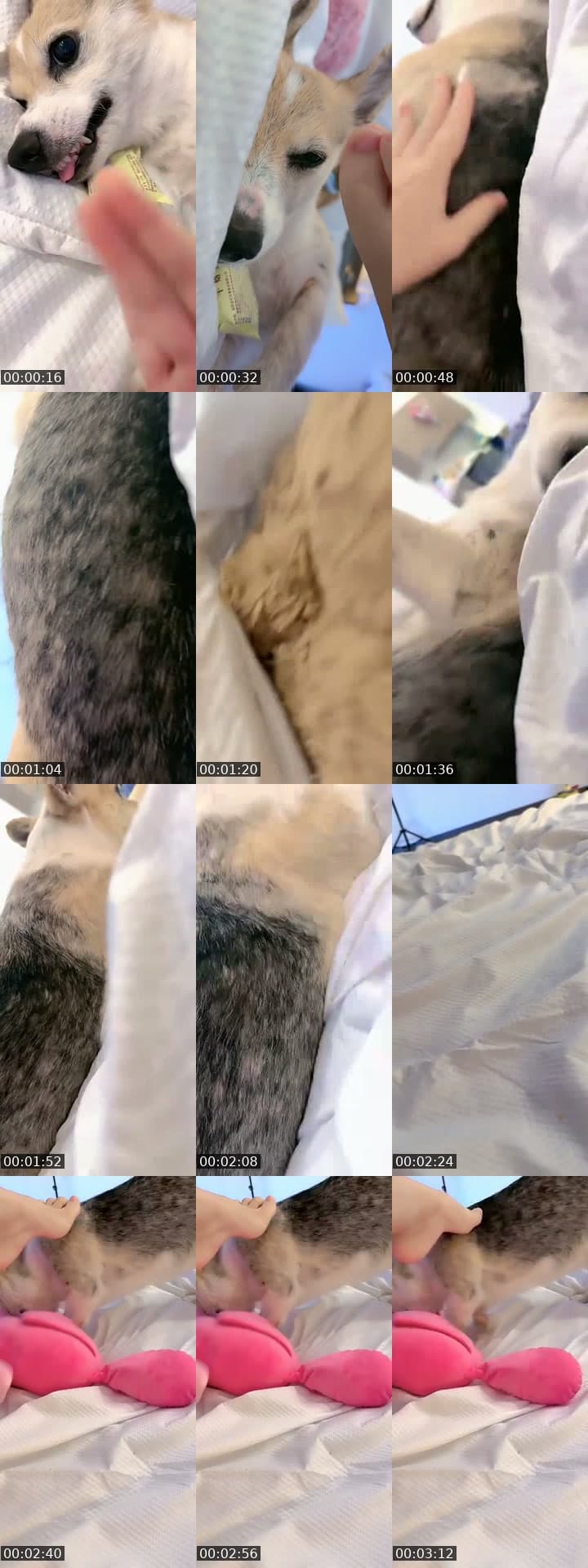 @ftrt34215 TikTok live stream