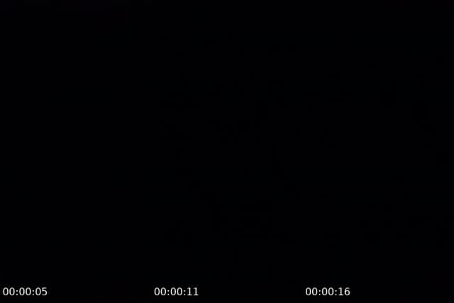 @vicky.castillo03 TikTok live