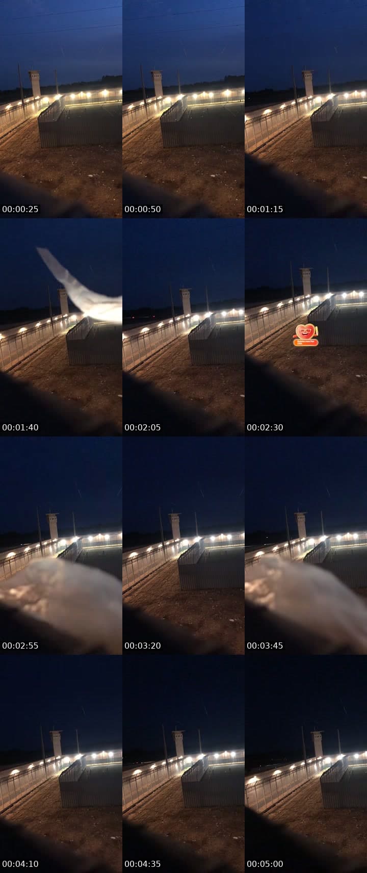 @loupblanc555 TikTok live stream