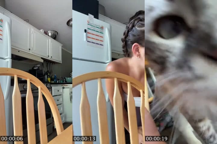 @hannahannahcam TikTok live stream