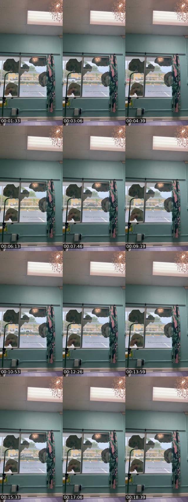 @olderisbetter4u TikTok live from 2026-07-16