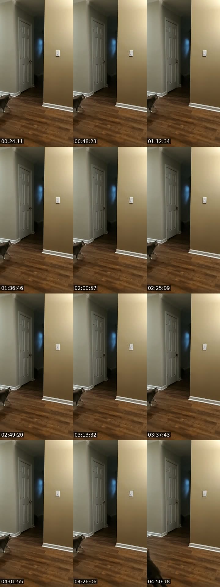 rattling basement door