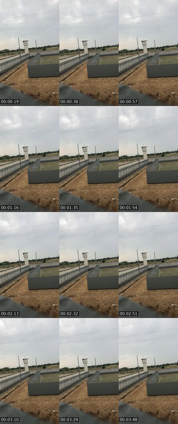 @loupblanc555 TikTok live stream