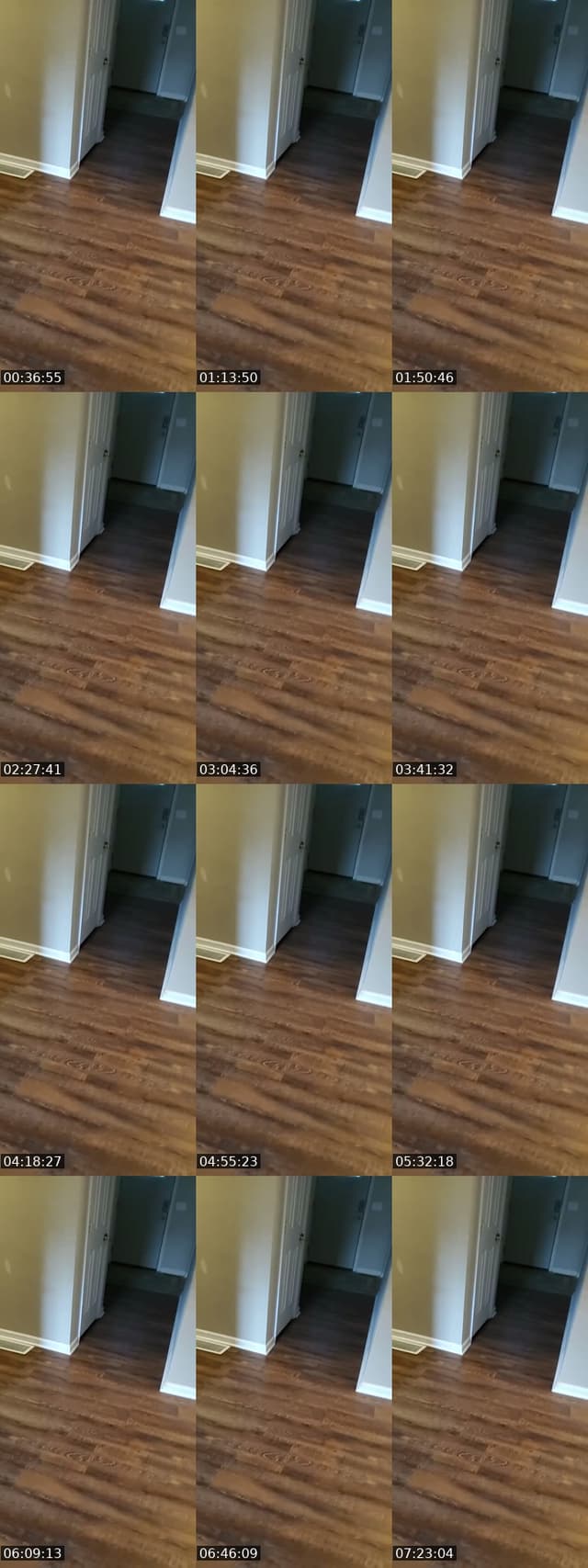 United States TikTok live: rattling basement door by @authorkyleanthony