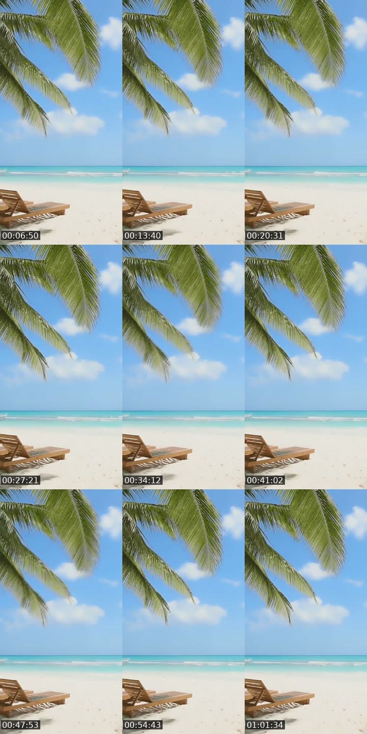 @angela_afro444 TikTok live stream