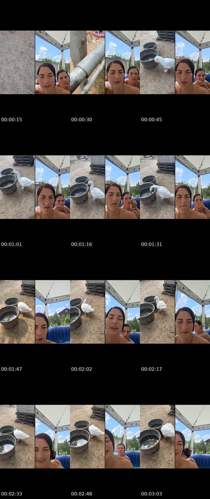 @extravagant.sophia TikTok live stream