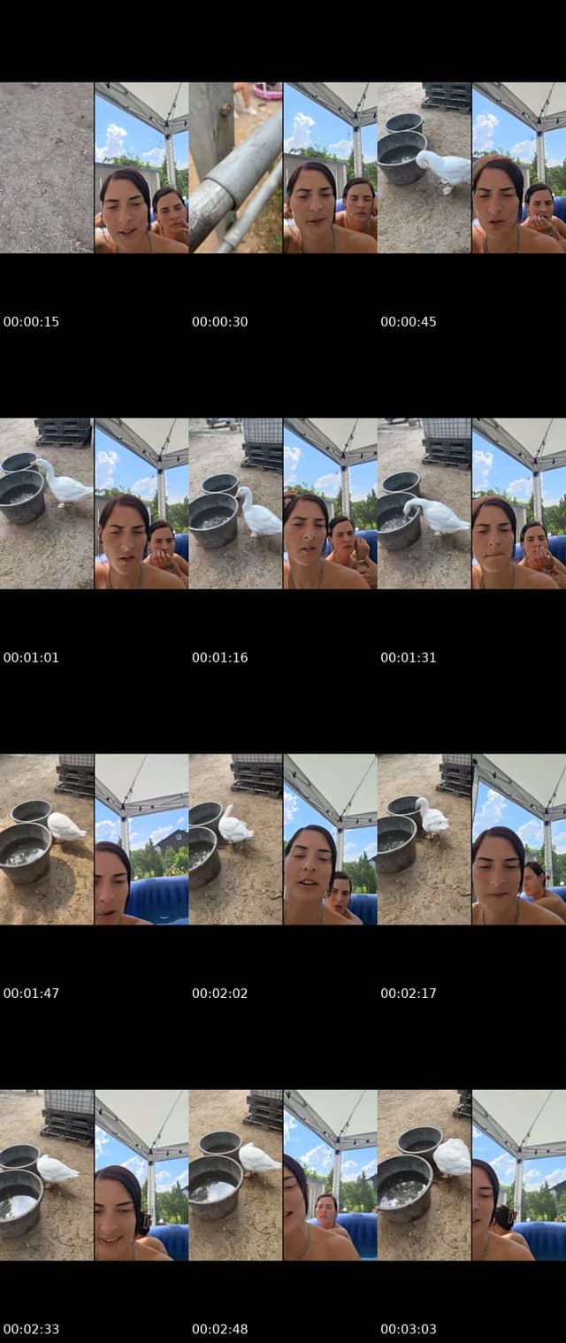 @extravagant.sophia TikTok live from 2026-07-16