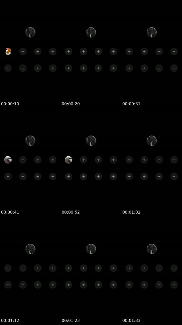 @sfga.6 TikTok live from 2026-07-16