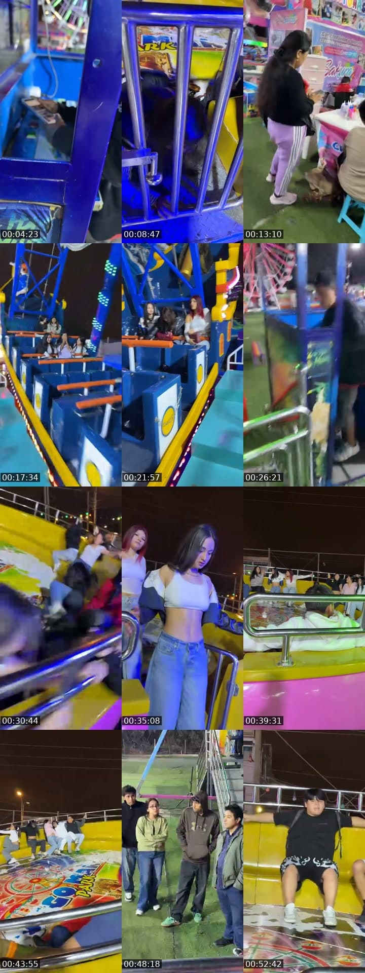 Juego Manía Park