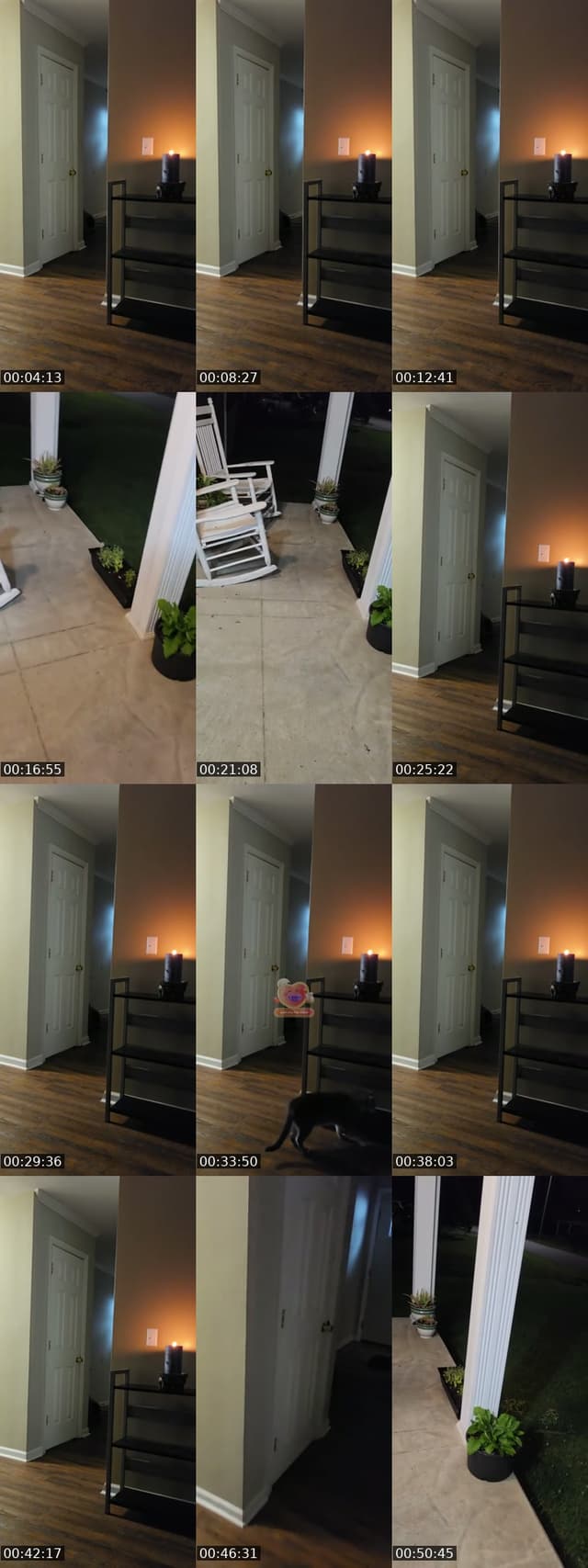 United States TikTok live: rattling basement door by @authorkyleanthony