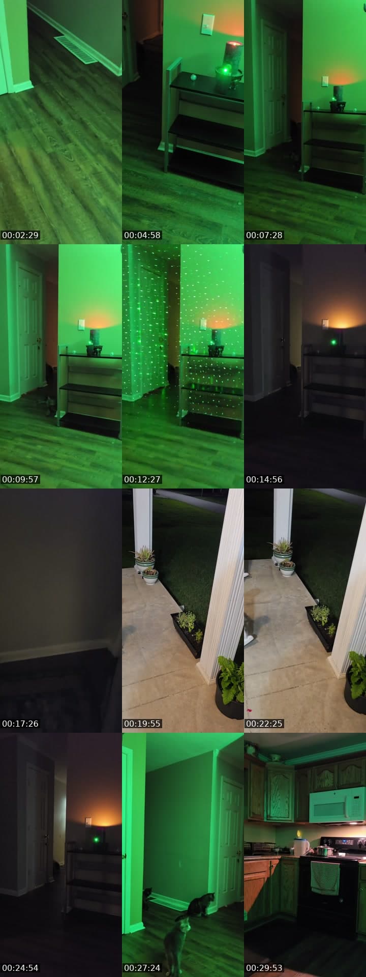 basement door ghost hunting