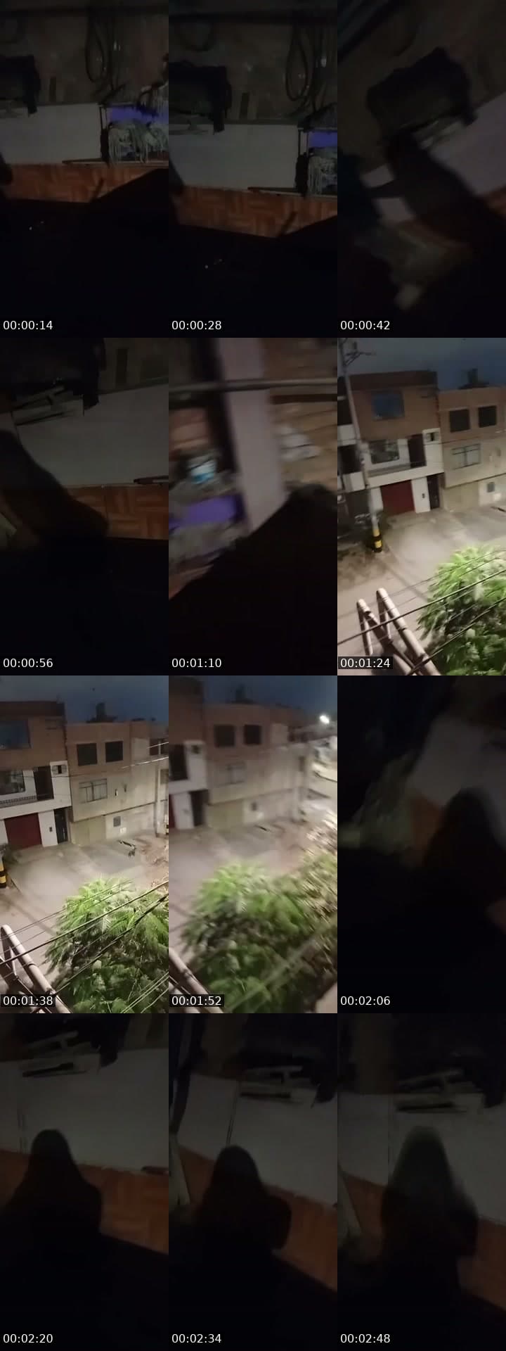 Baile en la sombra 🤣