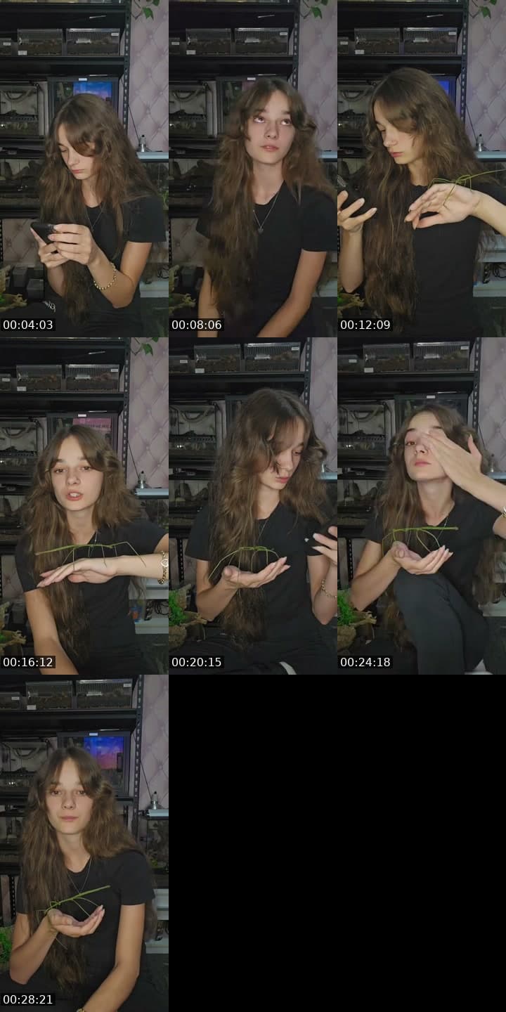 @skys.animal.zoo TikTok live stream