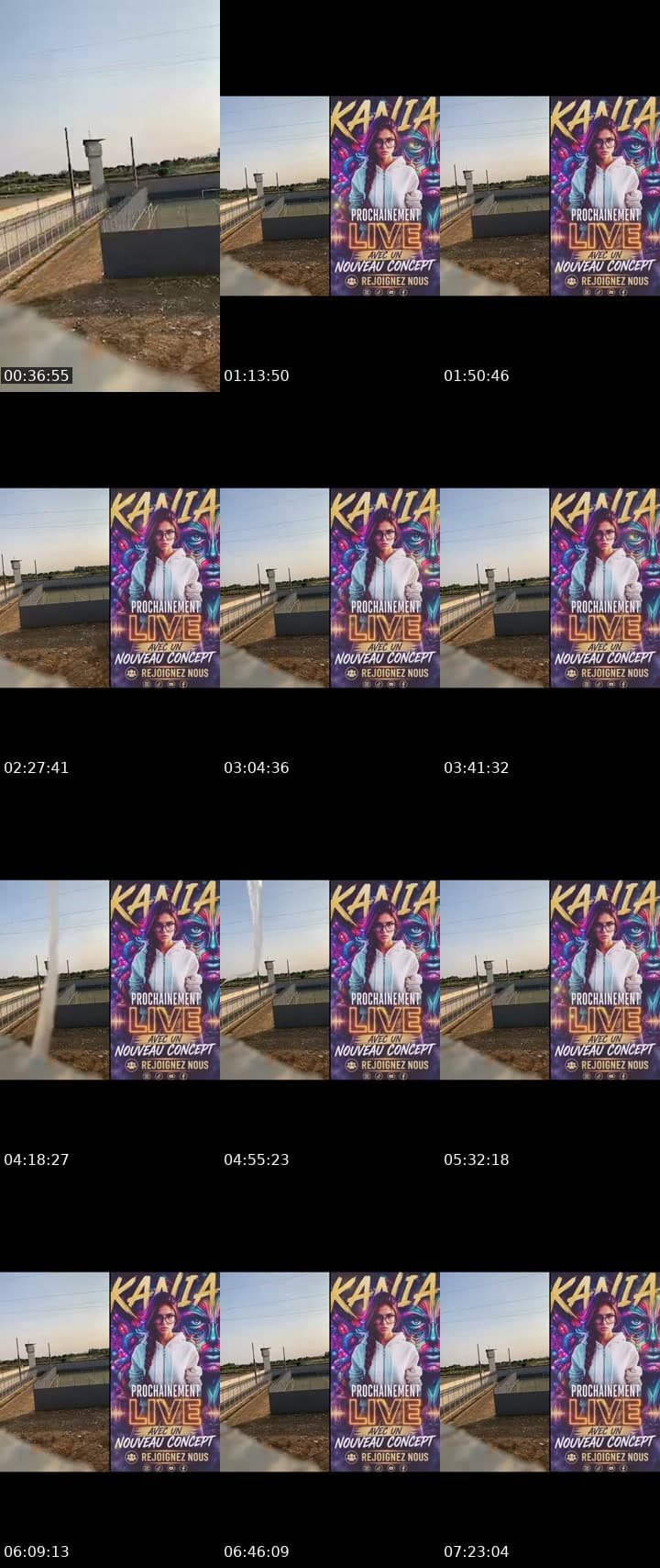 @loupblanc555 TikTok live stream