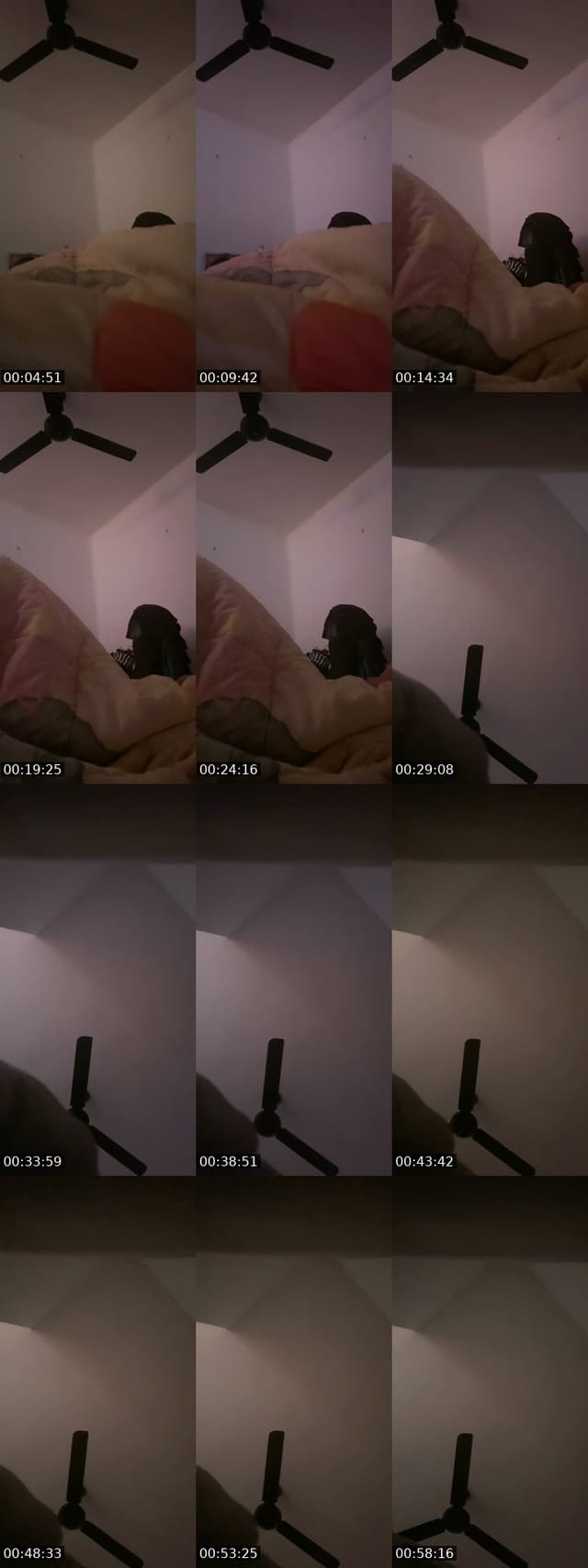 TikTok live: tengok luar kambing by @prettymellt69