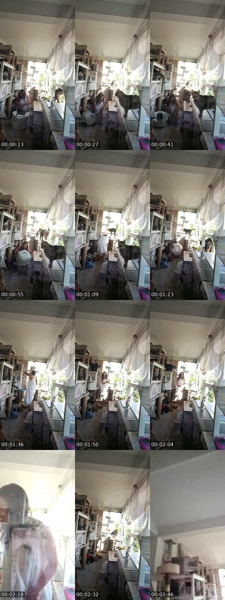 @mariaarezes TikTok live stream