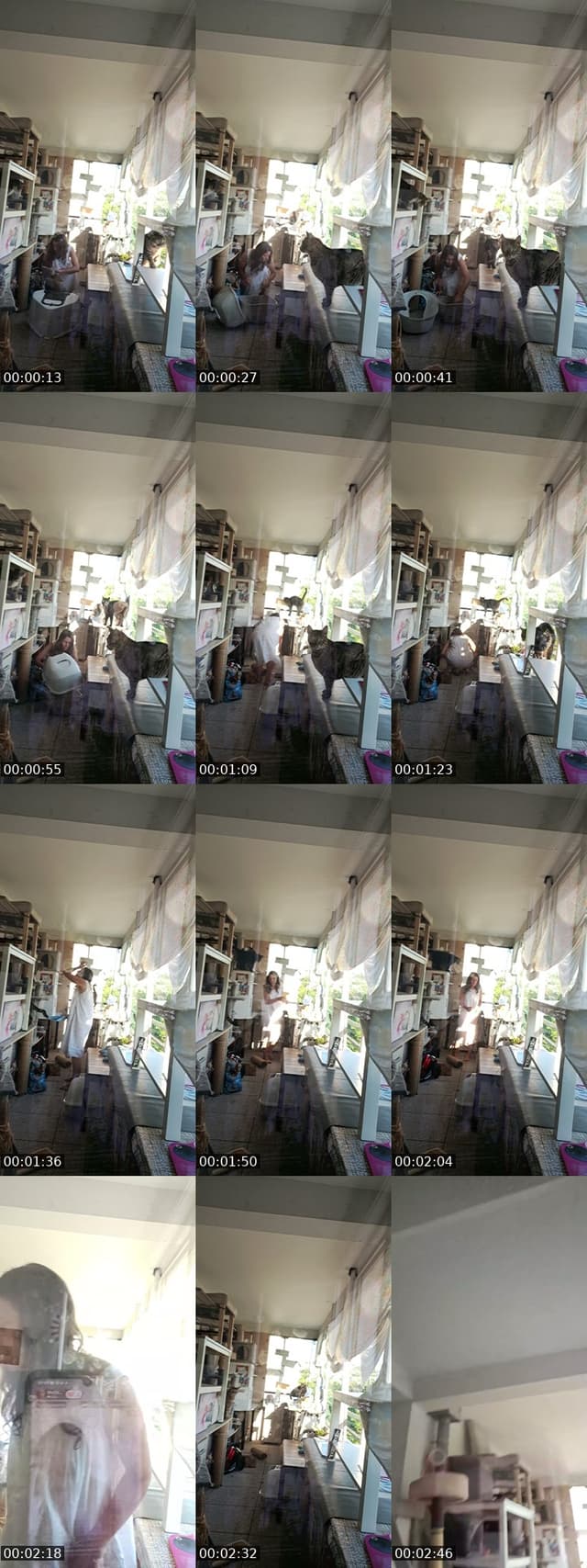 @mariaarezes TikTok live