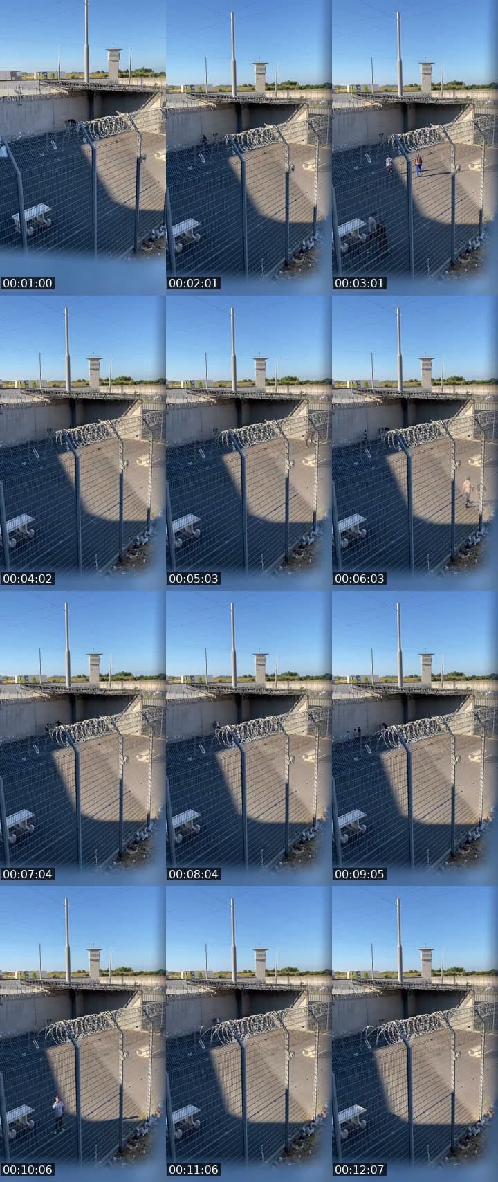 @loupblanc555 TikTok live stream