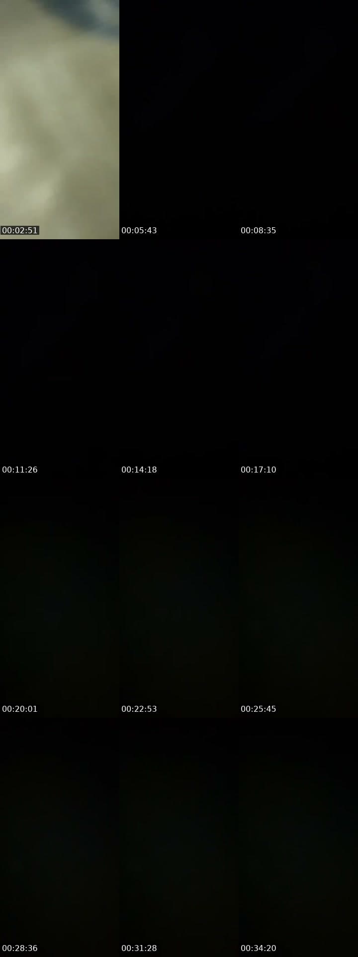 @zago258 TikTok live stream