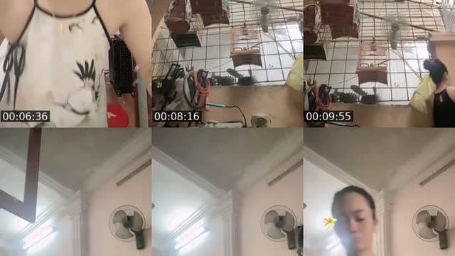 @gai36_banthuoclao TikTok live