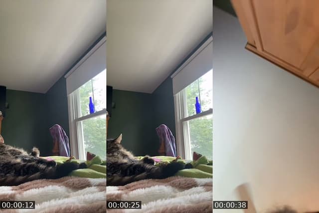 @whitemilkymommy TikTok live